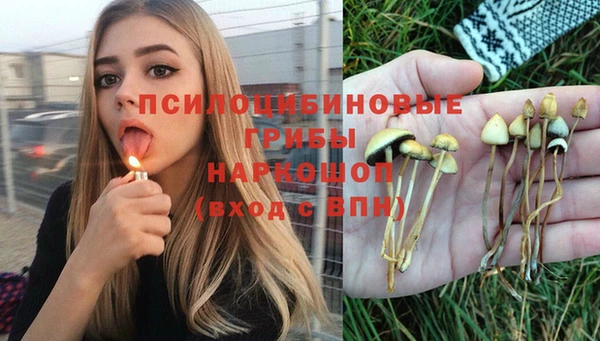 молекула духа Ачинск