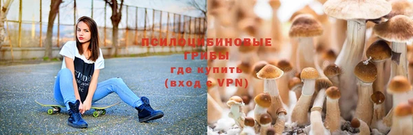 мескалин Алагир