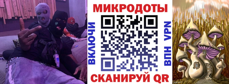 Галлюциногенные грибы MAGIC MUSHROOMS  Закаменск 